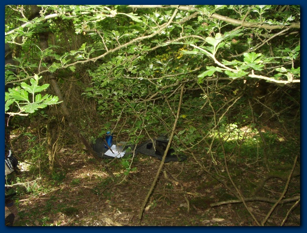 600x449 pixels (196K)